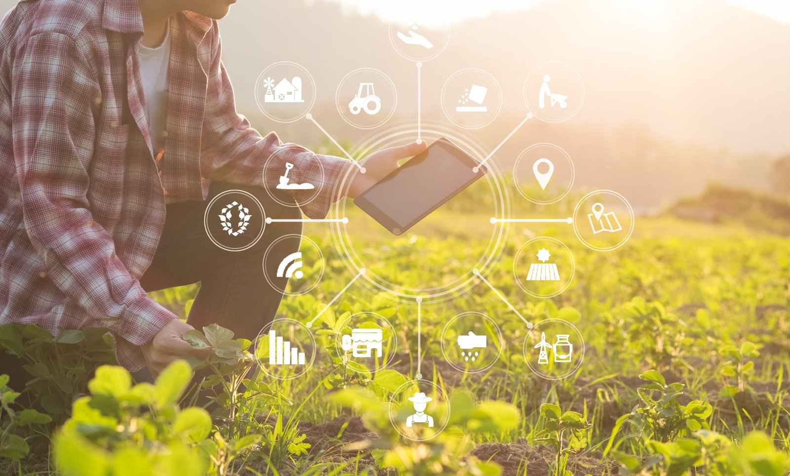 Bauer hockt in einem Sonnigen Feld. Sein Tablet offenbart ihm umfassende landwirtschaftliche Daten.